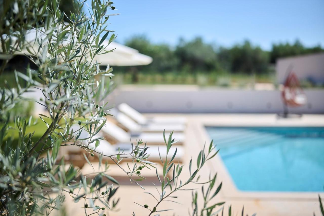 Villa Pura Vida With Pool And Whirlpool Near Umag Materada Eksteriør bilde